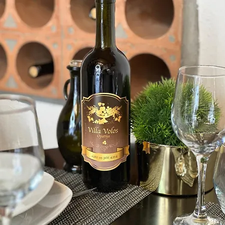 דירה Volos Karmen With Roof Terrace, Sea View, Free Private Parking